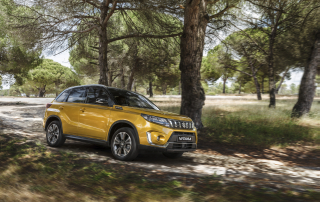 Suzuki Vitara for Family TripSuzuki Vitara for Family Trip